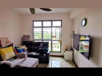 Roomgo SG - **** Looking for 1 female tenant/ (Master bedroom) / include electricity, Internet, Aircon/Can cook/, Holland Village - $450 pm