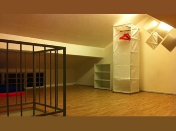 Roomgo SG - Attic Room For Rent - Upper Thomson (Bishan), Marymount - $900 pm