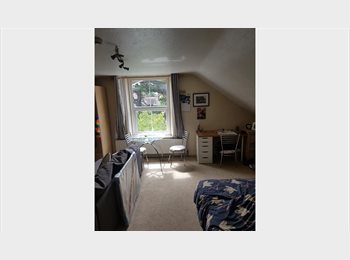 Roomgo UK - Large Bedsit room, Carshalton - £800 pcm