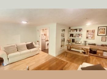 Roomgo UK - Amazing Apartment For Professionals In Peckham Rye, Denmark Hill - £2,200 pcm