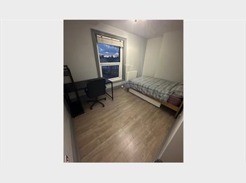 Roomgo UK - Flat, Double Room, Littlehampton Town, Littlehampton - £650 pcm
