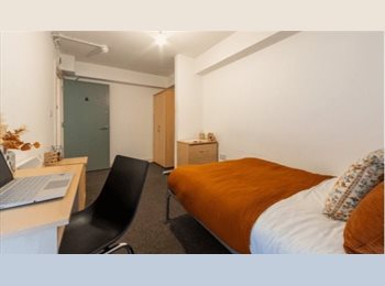Roomgo UK - Manchester Grafton Accomodation - 183/week, Ardwick Green - £732 pcm