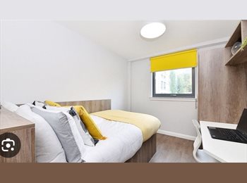 Roomgo UK - Double en-suite room available, Gorgie - £796 pcm