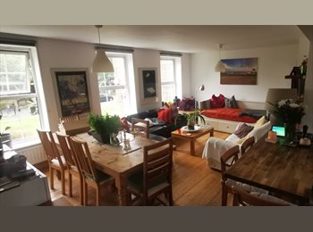Roomgo UK - Light, spacious flat, next to Broadway Market, E8, Cambridge Heath - £900 pcm