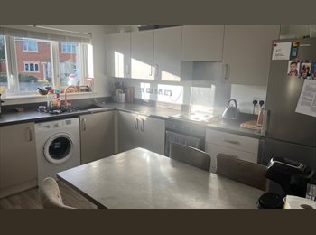 Roomgo UK - Great location, 1 room in semi detached property. Quiet house., Darlington - £400 pcm