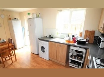 Roomgo UK - Bright, Furnished Single Room with Bills & Weekly Cleaner Included, Norwich - £400 pcm