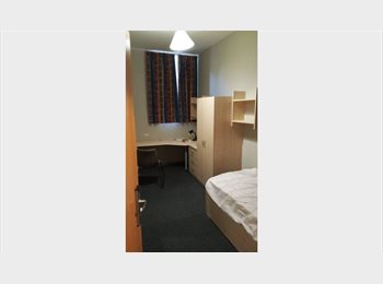 Roomgo UK - Postgraduate student flat available now!, Canon's Marsh - £209 pcm