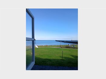 Roomgo UK - Room available to rent in houseshare beside the sea, Aberdeen - £550 pcm