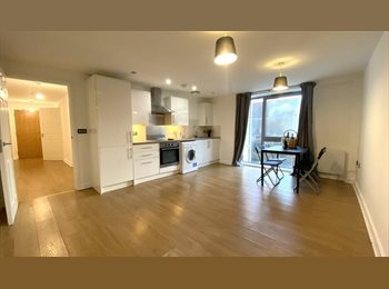 Roomgo UK - 1bed apartment Cathays Terrace,Cardiff, Cathays - £975 pcm