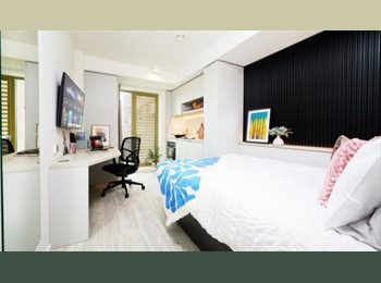 Roomgo UK - Studio Apartment Contract Takeover, Belfast - £844 pcm