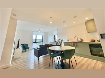 Roomgo UK - Spacious double room in a luxury high rise building in Luton Airport Parkway, Capability Green - £750 pcm
