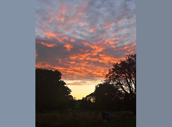 Roomgo UK - Mia-Louise Clifford - 21 - Ealing