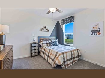 Roomgo US - Beautiful Home in Wesley Chapel, FL, Pebble Creek - $1,100 pm