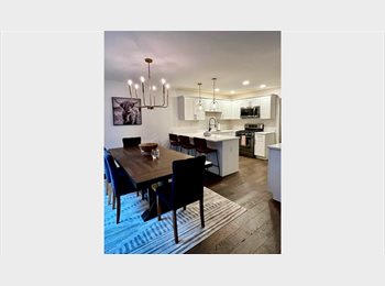 Roomgo US - Charming fully furnished 2 bedroom APT, Hyde Park - $1,100 pm