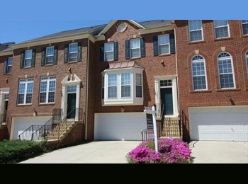 Roomgo US - Master Bedroom in Tremedous Townhouse, Leesburg - $800 pm