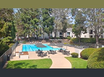 Roomgo US - Room for rent, Del Mar Heights - $1,616 pm