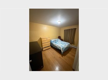 Roomgo US - Private Home available to share in a quiet Neighborhood, Bridgeport - $1,050 pm