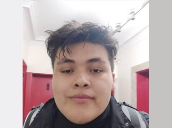 Roomgo US - Miguel José - 23 - Prospect Lefferts Gardens