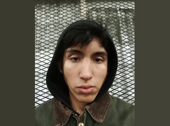 Roomgo AR - Lucas - 22 - Buenos Aires