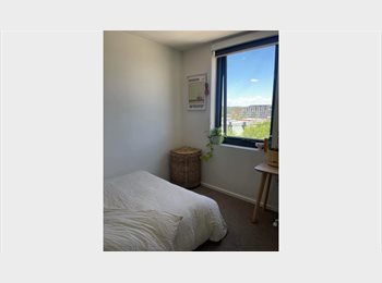Roomgo AU - ONE PRIVATE BEDROOM IS AVAILABLE IN DICKSON, Mitchell - $285 pw