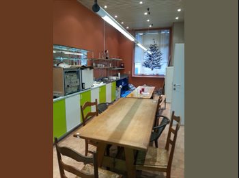 Appartager BE - House Share for young professionals, Etterbeek - 600 € pm