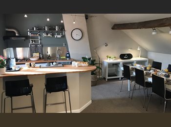 Appartager BE - Colocation de 220m2 dont 1 grande chambre de 22 m2, La Hulpe - 625 € pm