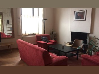 Appartager BE - Viens habiter avec nous! Chambre de 19m² dans Maison De Maître, Montigny-le-Tilleul - 500 € pm