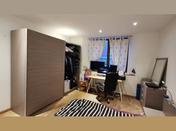 Appartager BE - Comfortable Room in eco renovated Duplex with splendid view (EU-area), Etterbeek - 625 € pm
