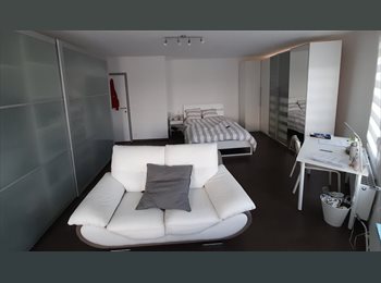 Appartager BE - Très grande chambre full équipement entièrement rénovée récemment proche Helha, Charleroi - 450 € pm