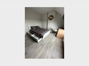 Appartager BE - Appartement chaleureux et convivial cherche nouveau colocataire !, Rumes - 330 € pm