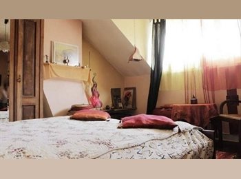 Appartager BE - maison papillon rooms, Evere - 650 € pm