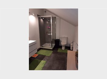Appartager BE - 2 Chambre a louer avec 1 salle de bain et sanitaires, Beyne-Heusay - 500 € pm