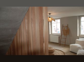 Appartager BE - Studio à louer -colocation 4 personnes, Arlon - 690 € pm