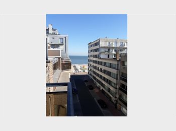 Appartager BE - Bel appartement 55m2, Knokke-Heist - 1.500 € pm