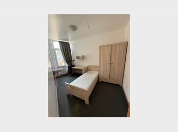 Appartager BE - Kots à Louer - Liège Outremeuse, Liège - 435 € pm