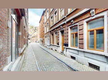 Appartager BE - Colocation cœur historique de Liege, Liège - 470 € pm