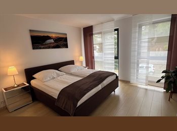 Appartager BE - Colocation conviviale et tranquille dans un appart lumineux, Ixelles-Elsene - 650 € pm