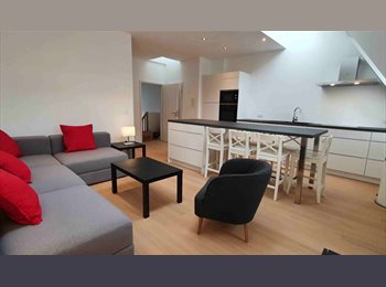 Appartager BE - Chambre dans une coloc à coté de la CE, Etterbeek - 850 € pm