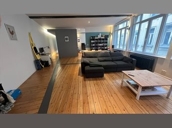Appartager BE - Chambre disponible, grande colocation 2 personnes, plein centre de Bruxelles, Bruxelles - 880 € pm