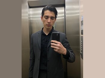 Roomgo BR - Klaus correia stricker - 19 - Curitiba