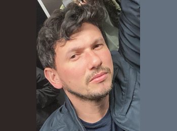 Roomgo BR - Israel - 37 - Bela Vista