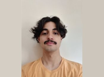 Roomgo BR - André  - 20 - Liberdade