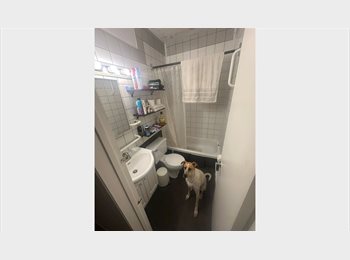 Roomgo CA - Mr fabrizzio fabela, Montréal - $900 pcm