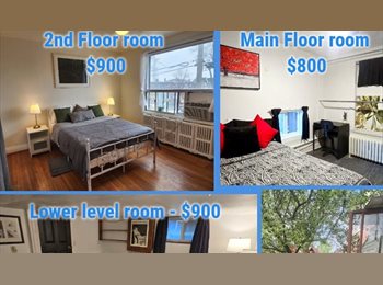 Roomgo CA - Convenient Toronto Room, Toronto - $800 pcm
