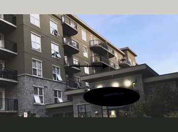 Roomgo CA - Cozy room with lots of sunshine, Edmonton - $650 pcm