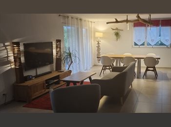 Roomgo CH - j'ai une chambre à louer, dans mon 4 p de 143 m carré, Fribourg - 600 CHF / Mois