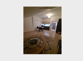 Roomgo CH - Location d'un studio avec cuisine, Genève - 1 200 CHF / Mois