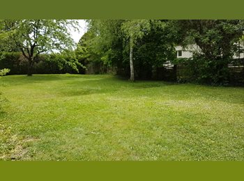 Roomgo CH - Chambre sympa dans un colocation, Genève - 1 145 CHF / Mois