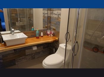 CompartoDepto CL - Suite con baño privado en linda Casona Restaurada, Santiago - CH$340.000 por mes