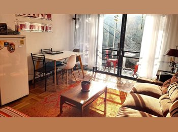 CompartoDepto CL - Hab amueblada a 2 cuadras del Metro Manuel Montt, Providencia - CH$275.000 por mes